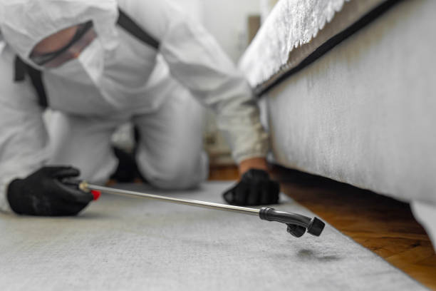 Professional Bed Bug Control technician working in Juab County County, UT